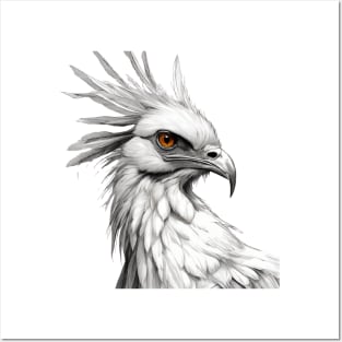 Secretary bird drawing Posters and Art